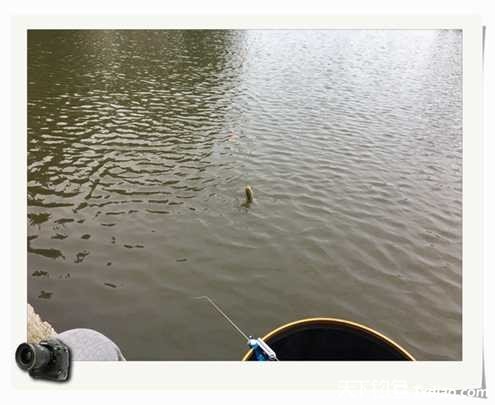 老地方钓鱼不好钓,五一抓鱼捕虾好去处