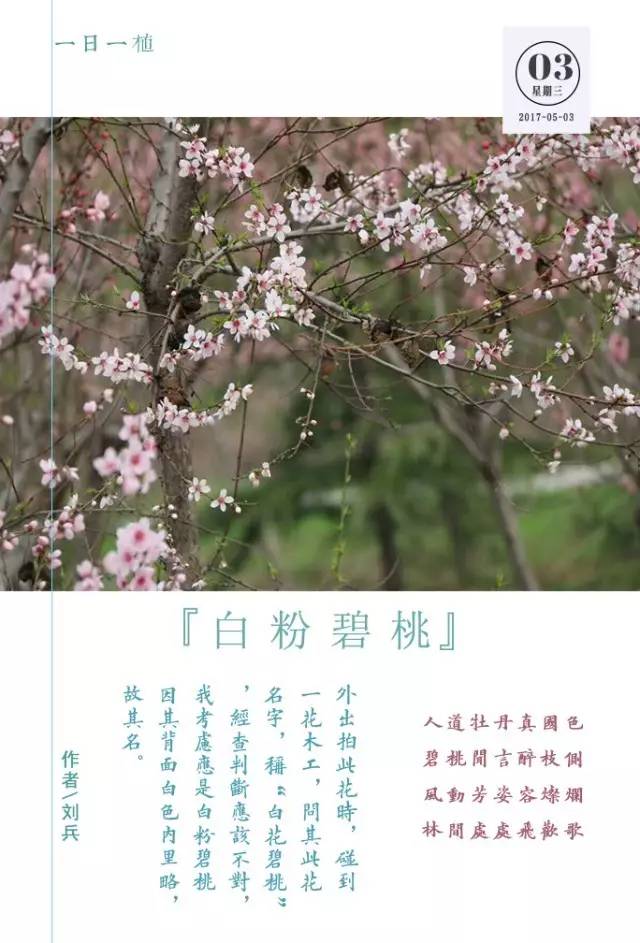 每日分享｜从古到今说来话，不过是情而已,5月3日）