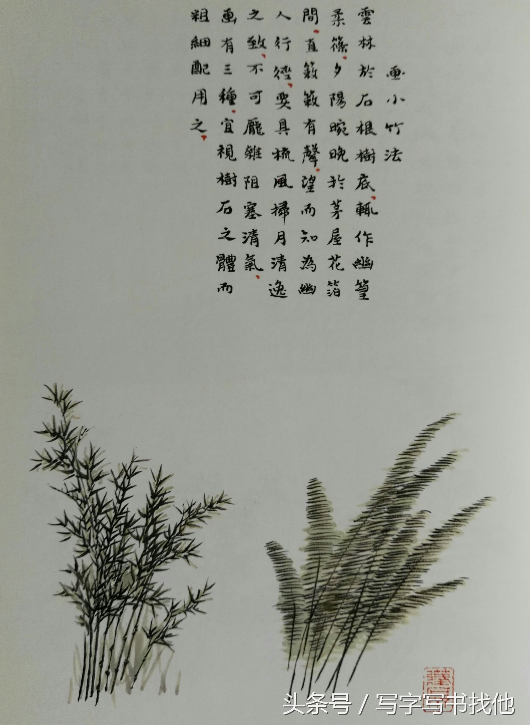大写意花鸟画技法视频芭蕉,中国画大写意芭蕉叶画法