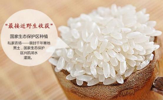 日本出口的大米有哪些 (日本大米进口到哪些地方了)