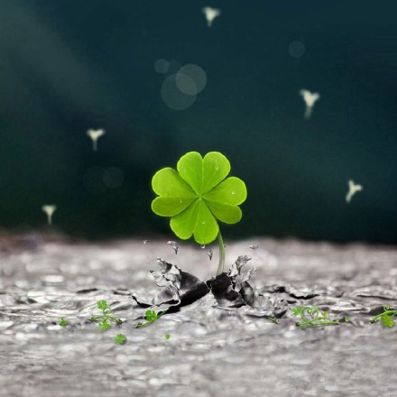 销售心灵鸡汤励志经典语录,写给女人心灵鸡汤经典语录励志