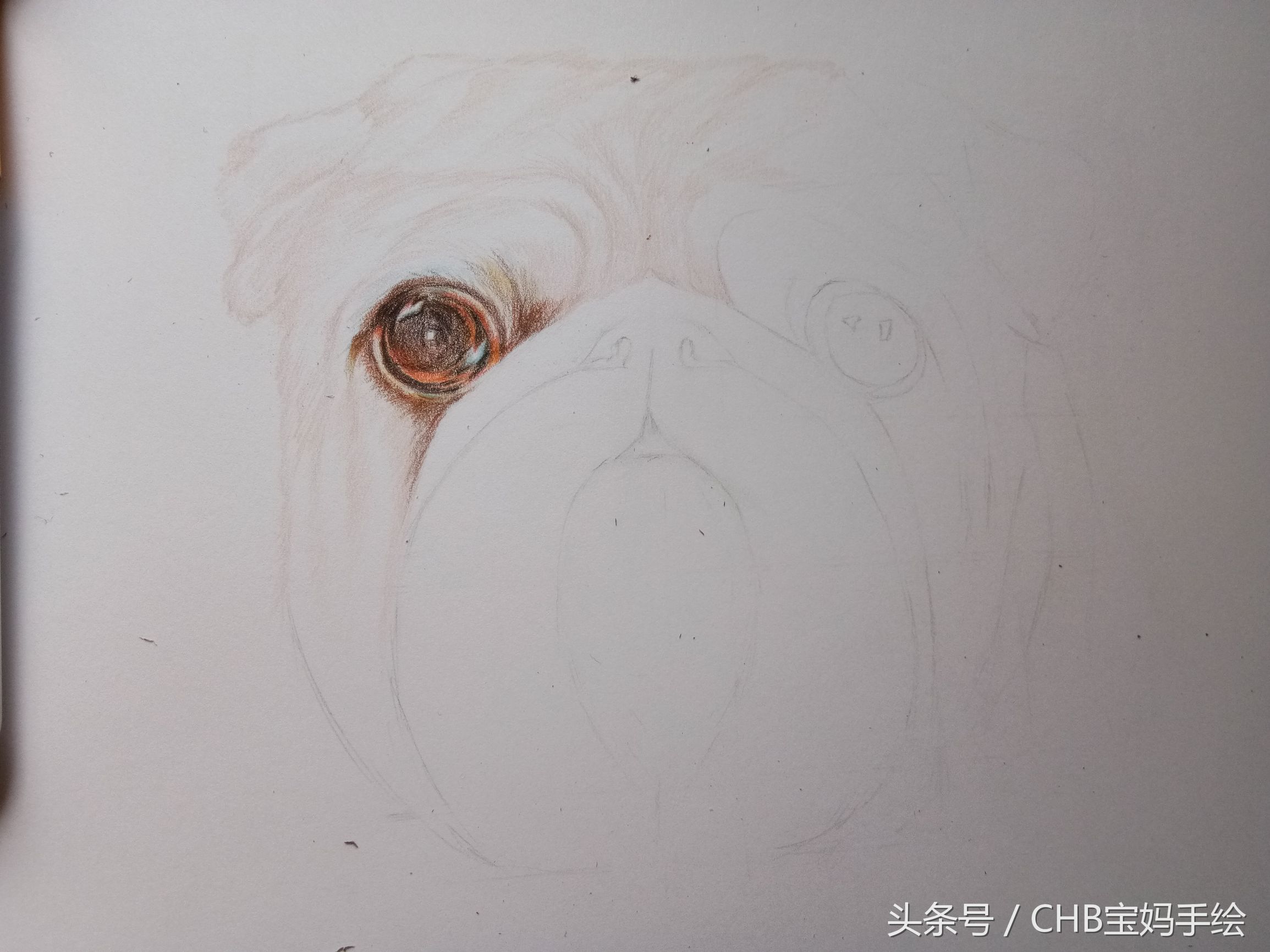 零基础学画漫画萌少女彩铅,如何学彩铅画狗