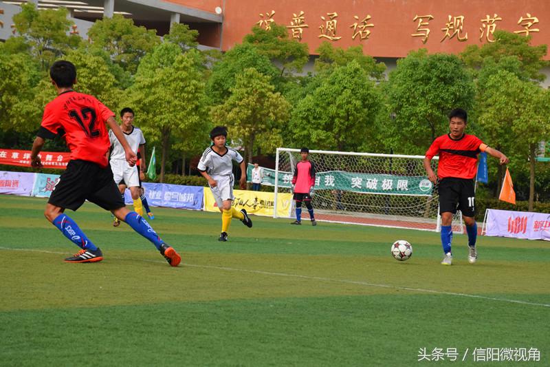 信阳市第7届市长杯足球赛小学组,第二届信阳市长杯足球赛