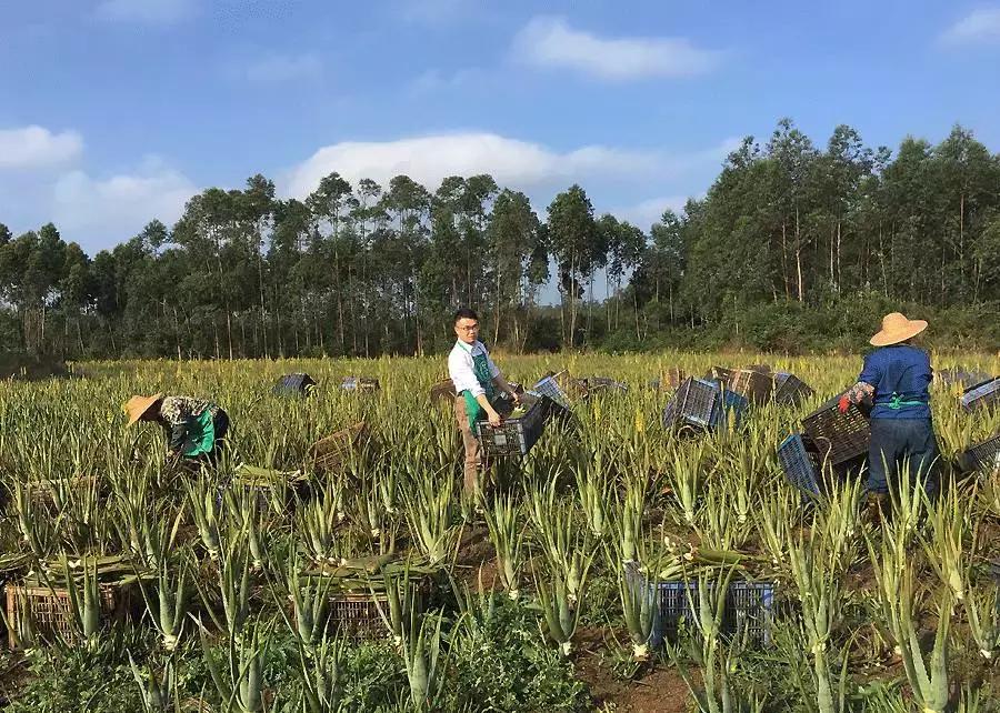 为了自己的皮肤，这位小伙却在“毁容线”上，寻找了3300公里