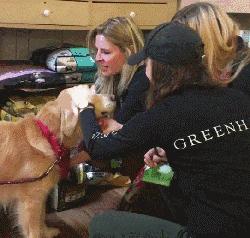 简单粗暴撸狗,撸狗的正确撸法