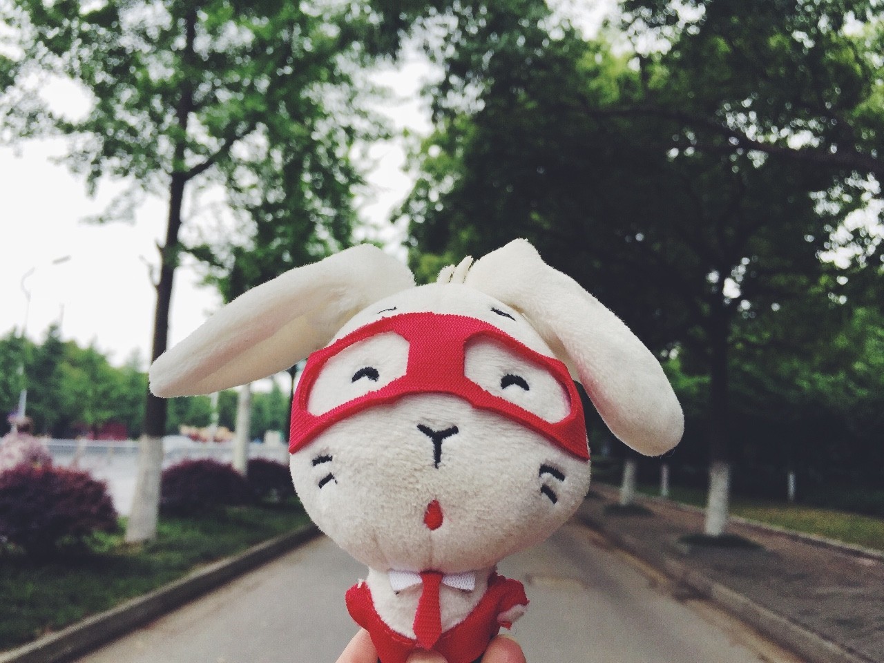 看房记轻奢风,看房记大平层