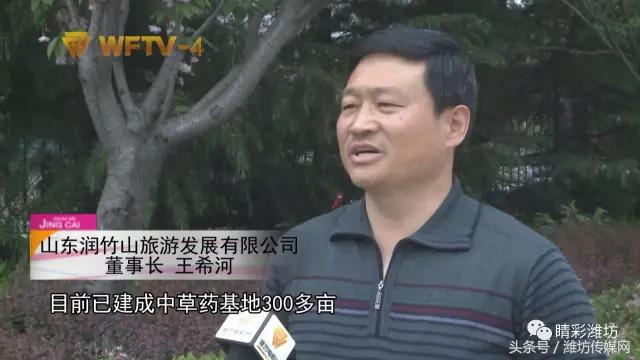 飞越齐长城:生态发展的竹山模式