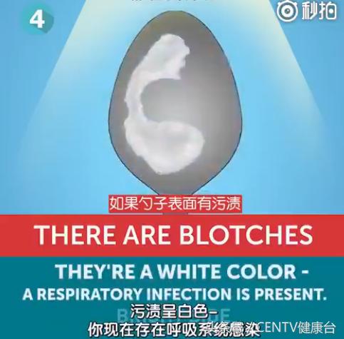 一个勺子细节分析,一个勺子到底好不好