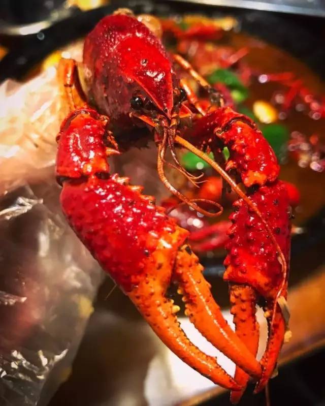 小龙虾上海排行榜,上海小龙虾自助排名前十