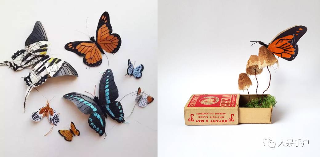 100人民币手工蝴蝶,昆虫大合集手工