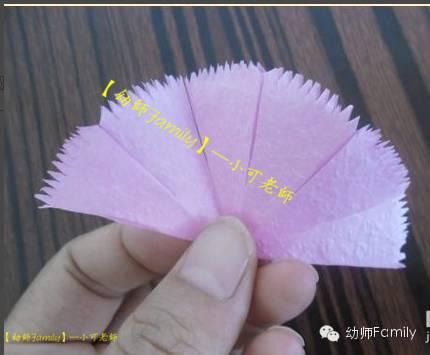 母亲节康乃馨图片大全大图,母亲节礼物手工康乃馨用卫生纸折