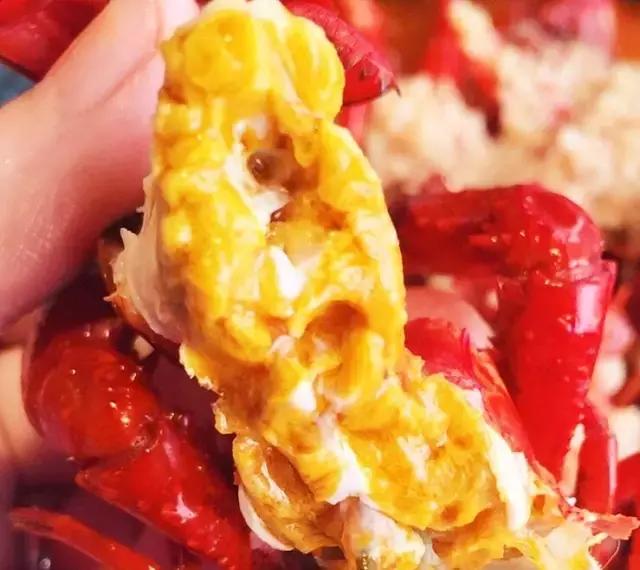 上海清水小龙虾,上海澳洲小龙虾