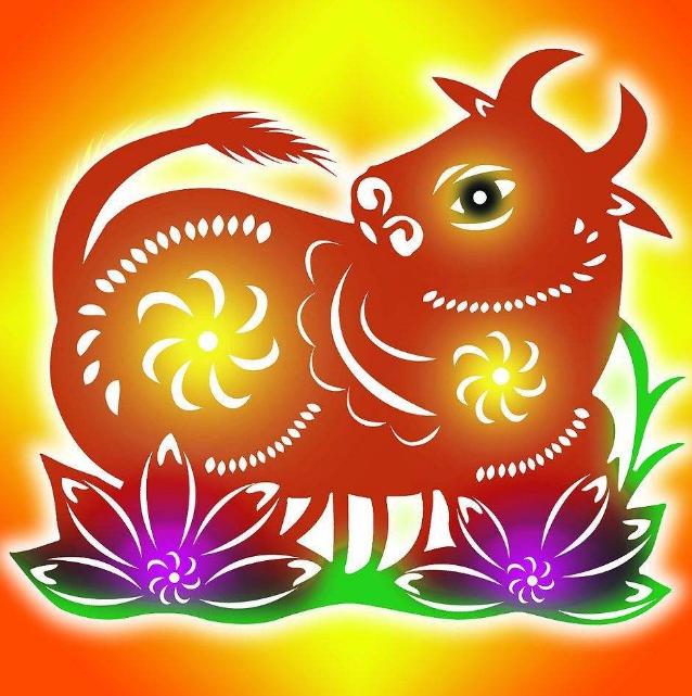 属牛人一生到底怎么样,属牛人一生运程