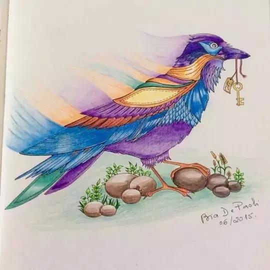 花园的秘密涂色,秘密花园涂色完整版范本图文