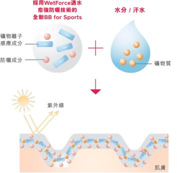 资生堂灰胖子防晒怎么样,资生堂白胖子日版和美版