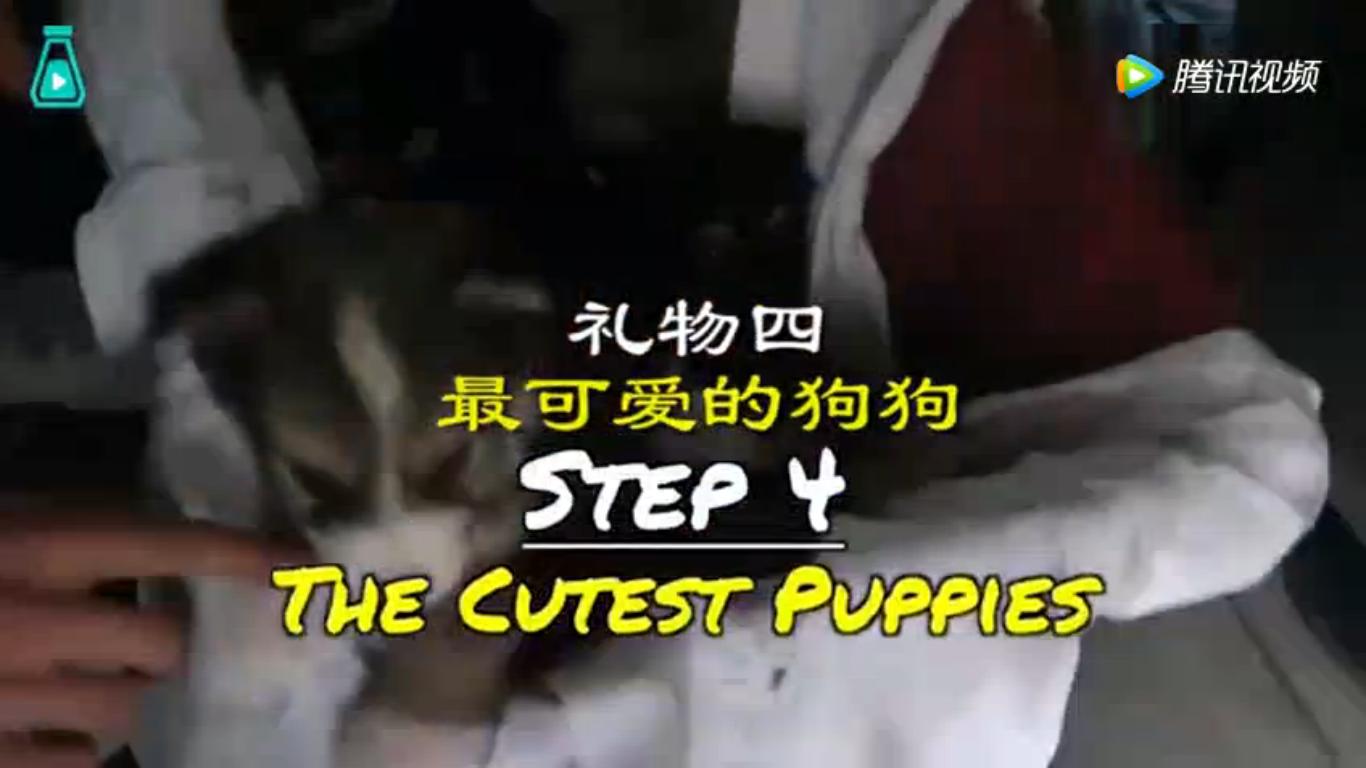 超有爱的视频怎么做,超有爱的视频