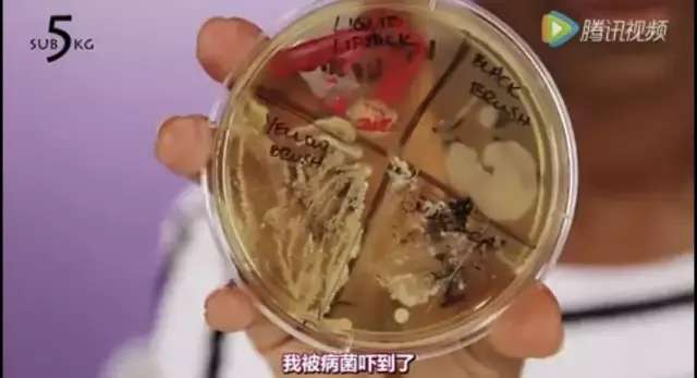 化妆刷怎么消毒,化妆刷清理教程