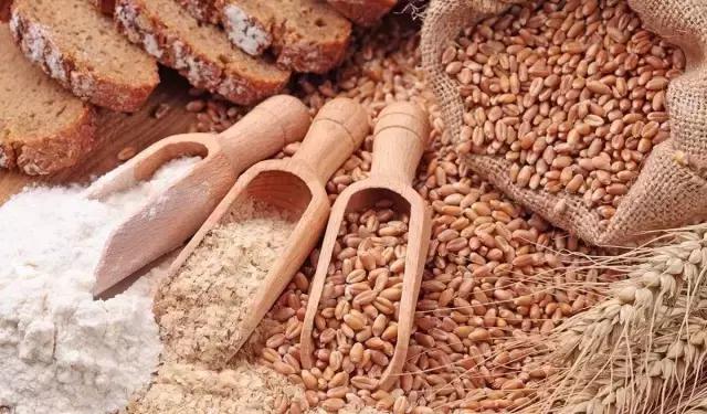 口腔溃疡30秒治好,猫口腔溃疡能治好吗