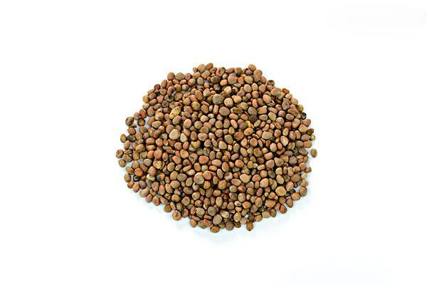 据说89种药食同源食物中的这8种对高血压、糖尿病、高血脂最好