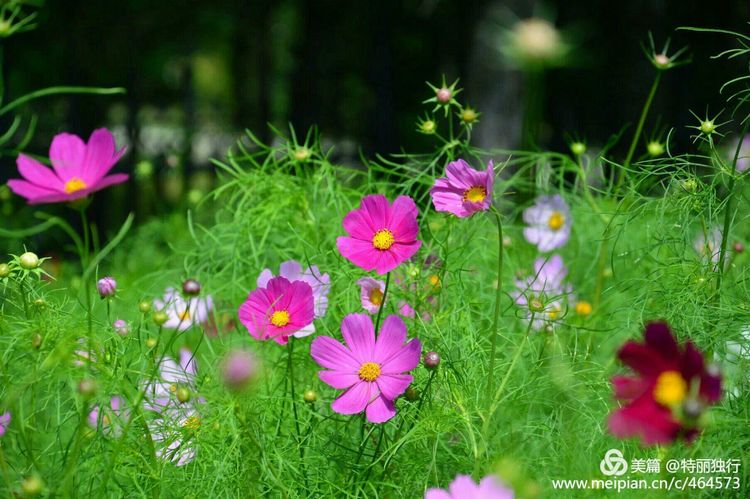 走过四季夏天最美,走过春夏美丽的秋冬