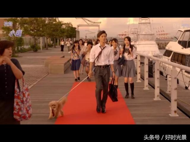 哥哥太爱我怎么办短剧,哥哥太爱我了怎么办电影上映