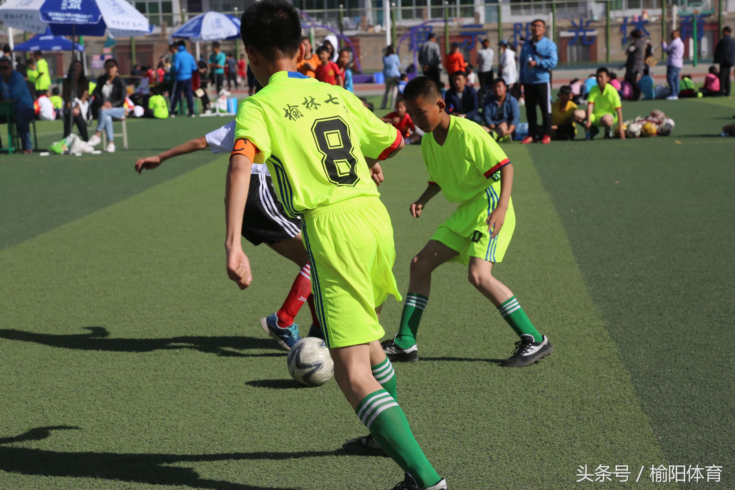 榆阳区中小学生运动会运动项目,榆林市中小学生研学实践活动