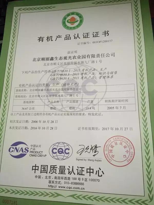 北京已开园的樱桃园,2024樱桃园开放时间