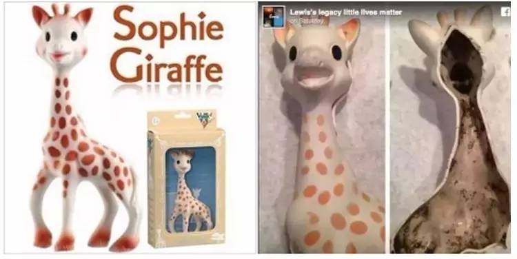 儿童保健品澳洲保健品,澳洲保健品孩子