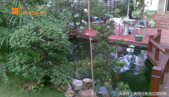 大型鱼池建造过程及施工方法,省钱鱼池建造过程及施工方法