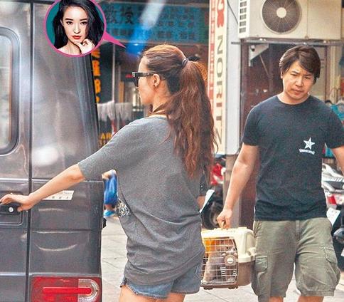 欧弟娄艺潇魏晨,欧弟白凯南魏晨