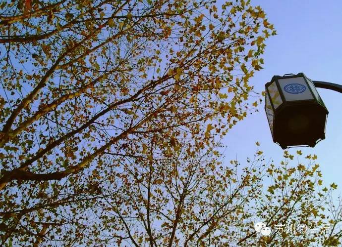 苏州最值得去的五个景点,苏州最值得去的10个景点排名