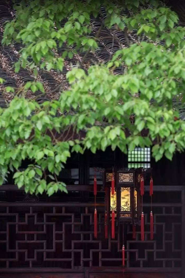 老祖宗留下来的7句狠话句句在理,老祖宗留下来的金句句句在理