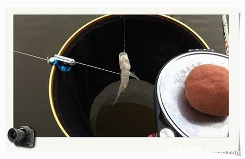 老地方钓鱼不好钓,五一抓鱼捕虾好去处