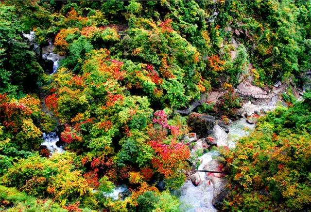适合周末打卡的旅游胜地,周末旅游打卡圣地