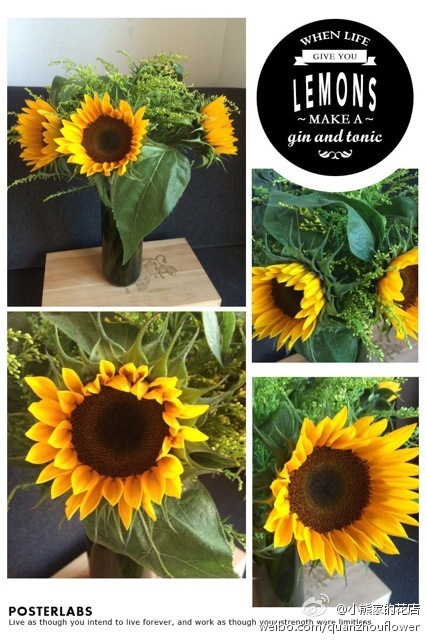 不买花也可以聊人生！泉州有家花店，专治失恋与主妇间歇躁郁症