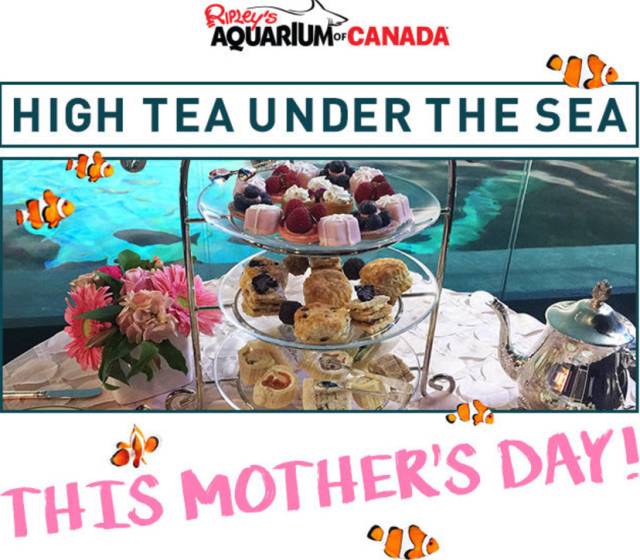 多伦多周末有什么好玩的地方,多伦多八月好去处