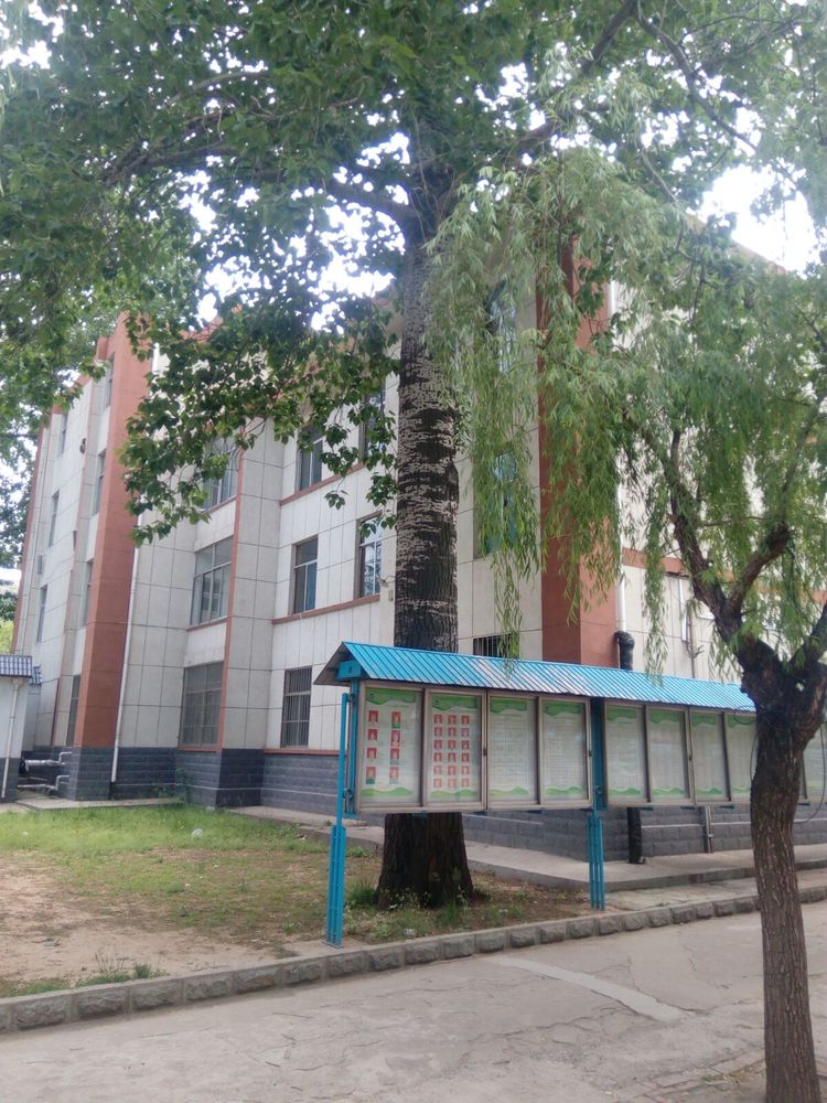 淄博二中,淄博往事