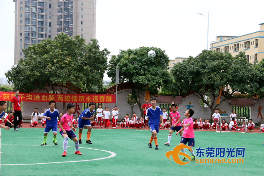 莞城中心小学分校与莞城中心小学,东莞东城中心小学托管