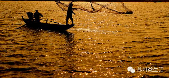 苏州最值得去的五个景点,苏州最值得去的10个景点排名