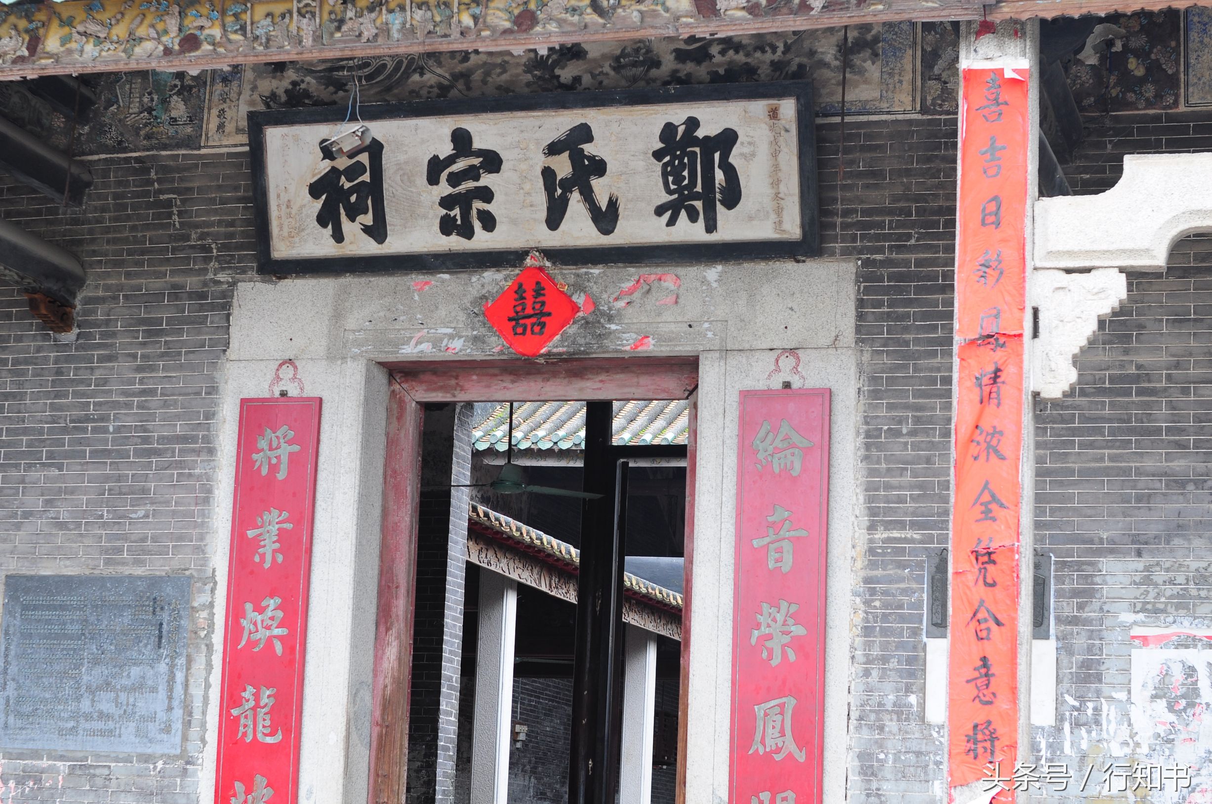 深圳旅游必去十大景点动物园,广州一日游最佳去处动物园