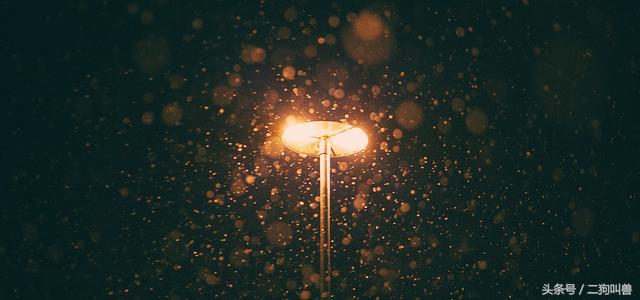 互联网时代创业如何少走弯路,从大学到工作的感受