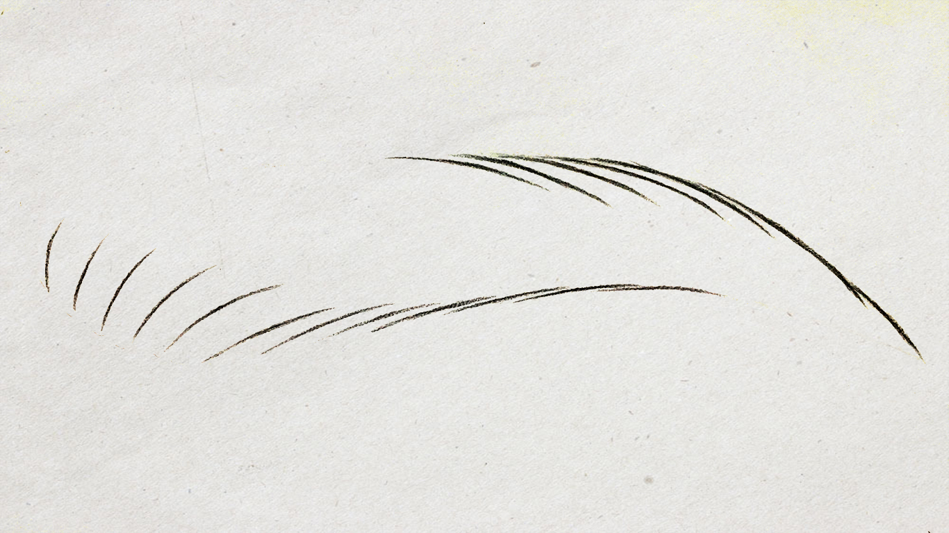 纸上仿生眉线条画法分解,线条眉纸上单根画法与步骤