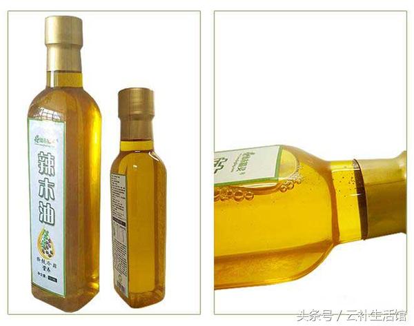 辣木产业的前景如何,辣木的意义