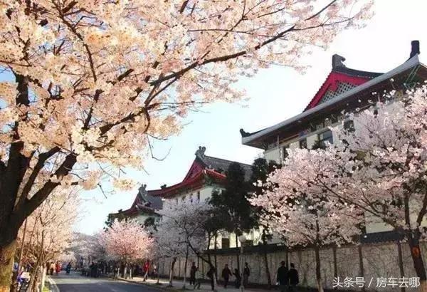 开着房车去南京,开着房车去旅行玩的就是不一样