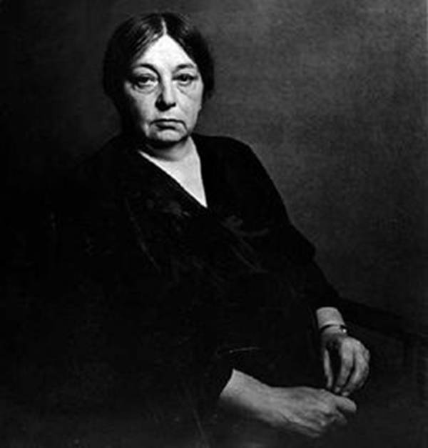 每日花语最新,每日花语火鹤花