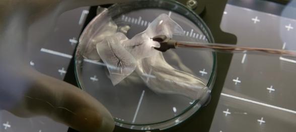 影友辣评《异星觉醒》：高颜值天团花样作死反转结局令人绝望