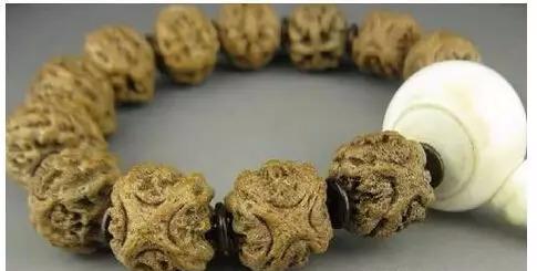 恶魔凤眼菩提产地,枣核冒充凤眼菩提