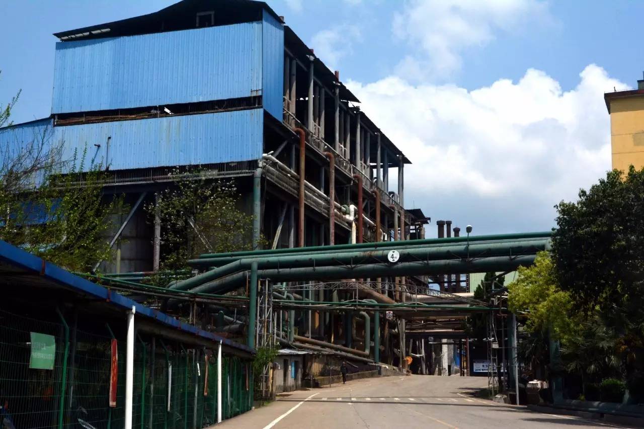 武夷山岩茶不忘初心,武夷大红袍不忘初心