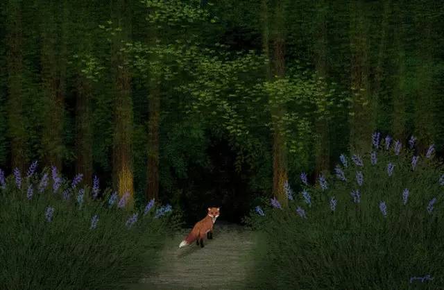 没有人理解我怎么办,没有人了解我