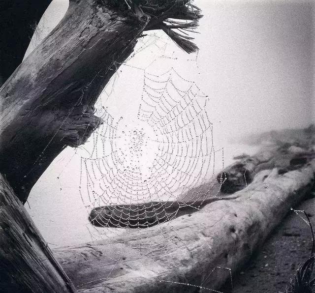 玩转手机摄影轻松拍出大片儿,家中就能拍出大片手机摄影